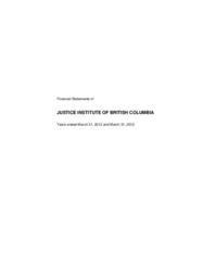 Financial statement 2013