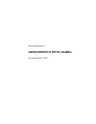Financial statement 2017